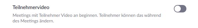 01_zoom_Teilnehmervideo