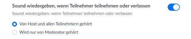 08_zoom_Audiosignal_bei_Beitritt