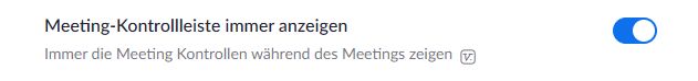 09_zoom_Kontrolleiste_anzeigen