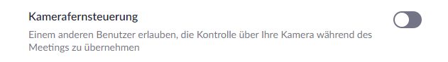 11_zoom_Keine_Kamerafernsteuerung